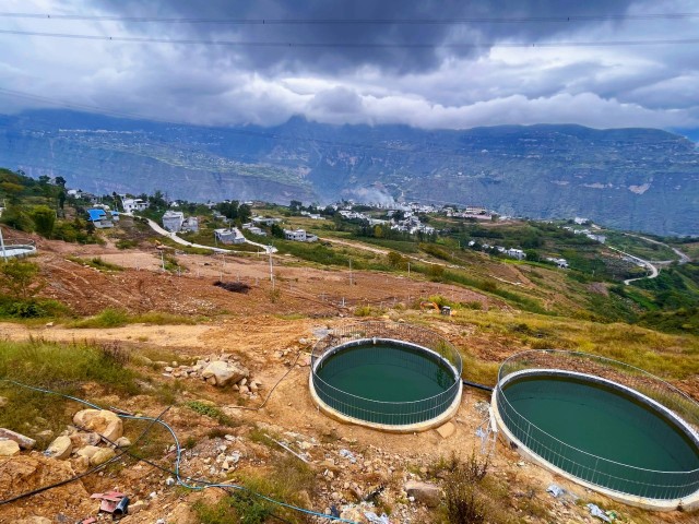 明子村：增进民生福祉 绘就幸福底色