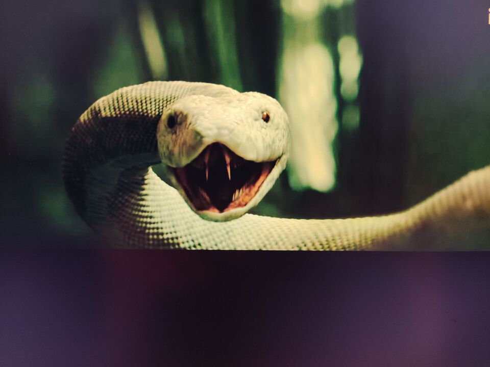 标题